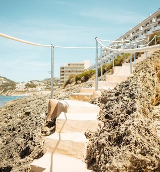 Sentido Fido Punta del Mar