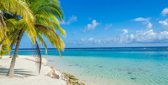 Sandstrand am blauen Meer mit einer Palme