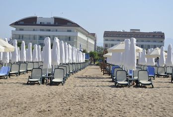 Trendy Verbena Beach