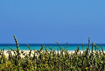 Playa Park Zensation