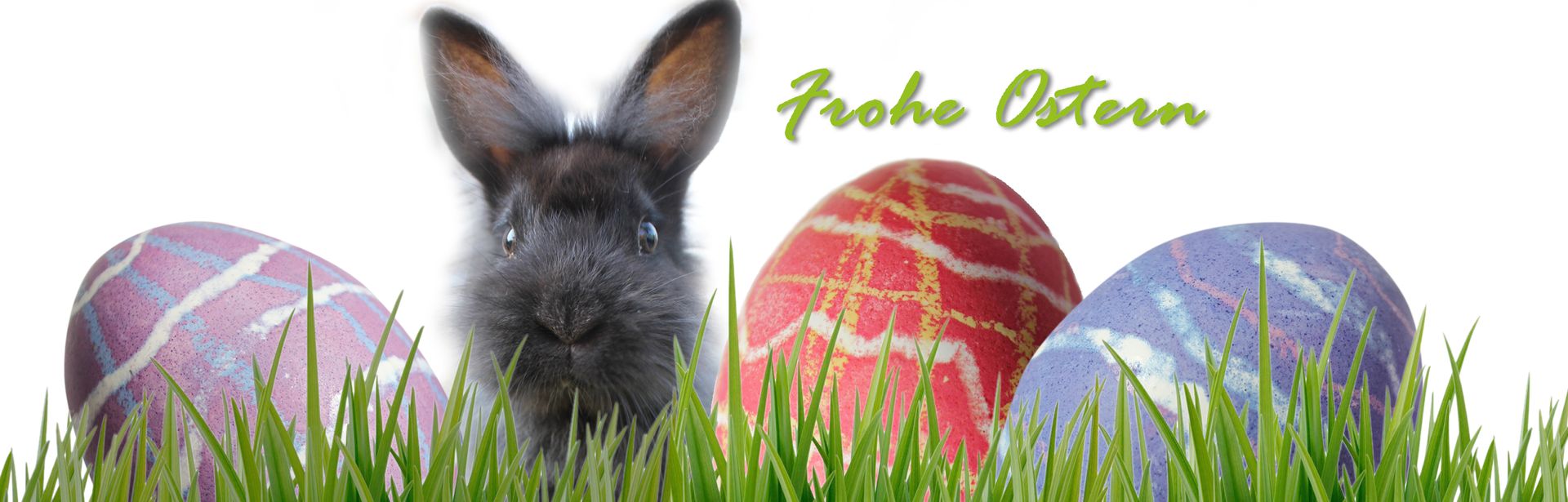 Wir wünschen euch FROHE OSTERN!