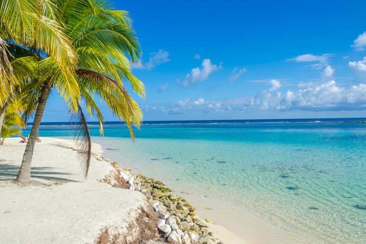 Sandstrand am blauen Meer mit einer Palme