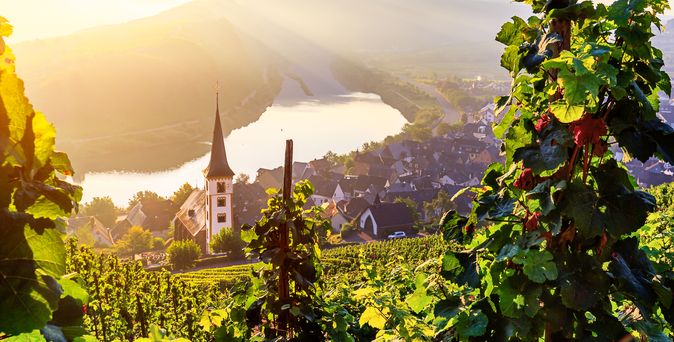 Mosel Flusskreuzfahrt 