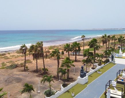 LIVVO Budha Beach