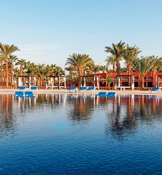 Calimera Blend Paradise