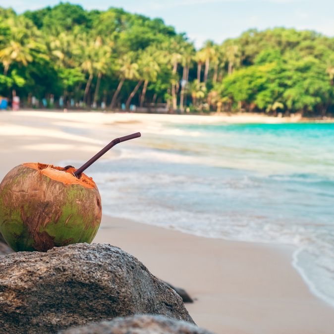 Kokosnuss mit einem Strohhalm steht am Strand