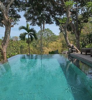The Damai