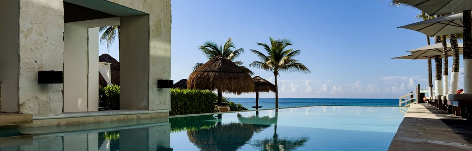 Ein Pool umgeben von Palmen und mit Blick auf das Meer