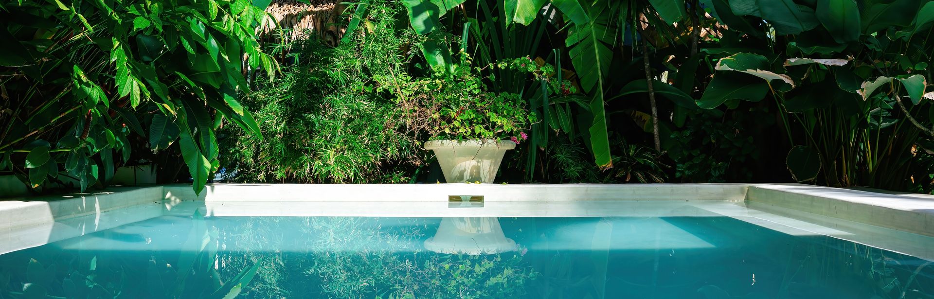 Ein privater Pool umgeben von Pflanzen