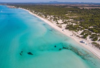 Blau Colonia Sant Jordi