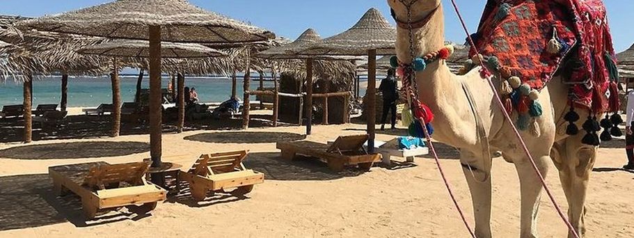 Utopia Beach Club