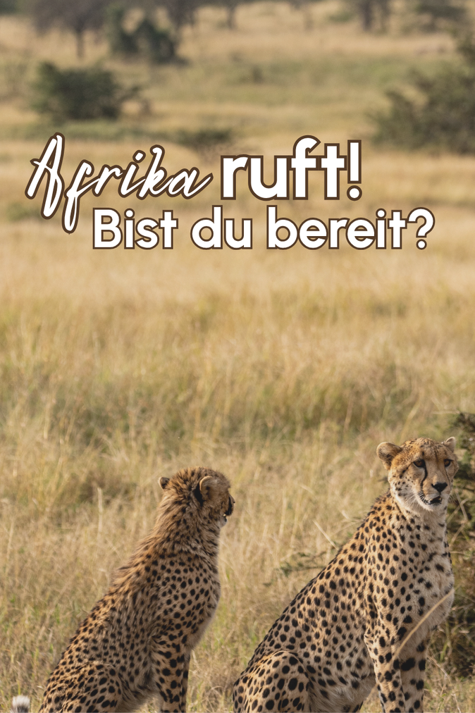 Abbildung