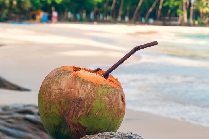 Eine Kokosnuss mit Strohhalm liegt auf Steinen an einem wunderschönen Strand