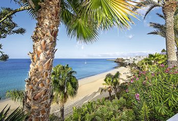 IFA Altamarena by Lopesan Hotels