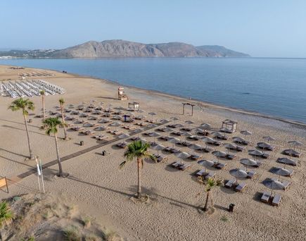 Delfina Tropic Beach