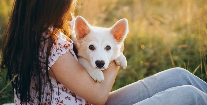 Eine Frau sitzt auf einer Wiese und hält einen weißen Hund im Arm
