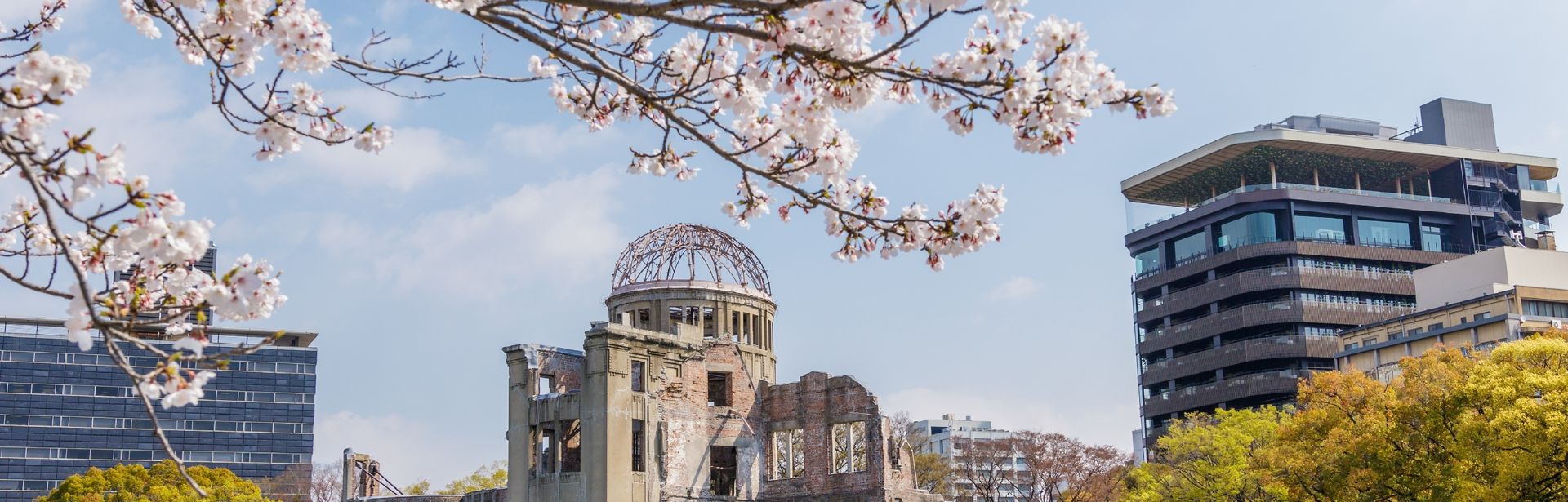 Ein Ast eines Kirschblütenbaumes in Japan, im Hintergrund sieht man Gebäude von Tokio