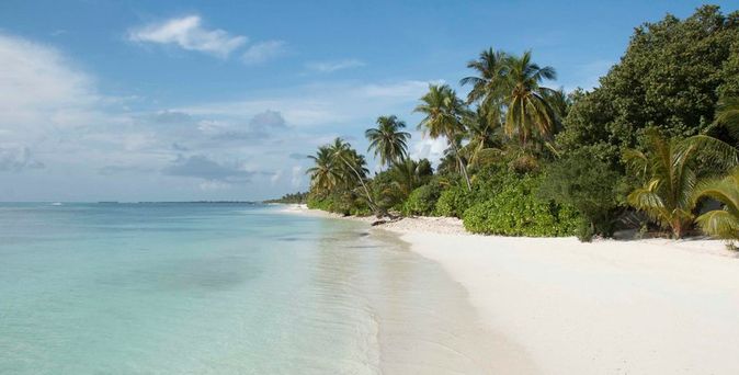 Canareef Resort Maldives