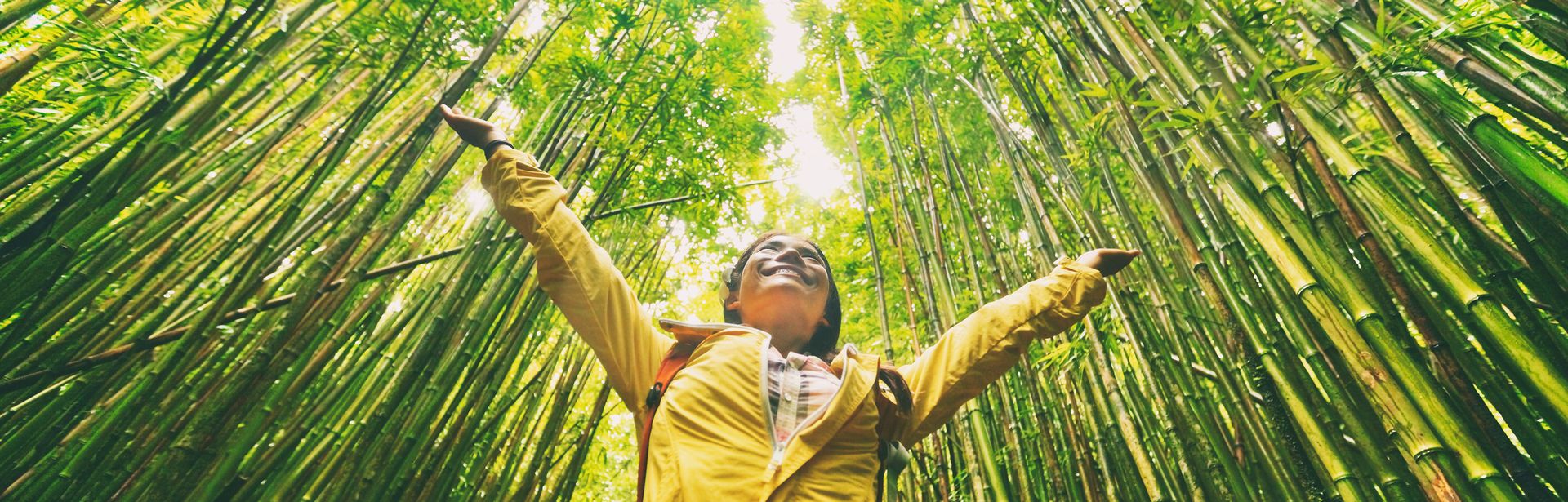 Glückliche Frau in gelber Regenjacke steht in einem Grünen Wald und schaut nach oben