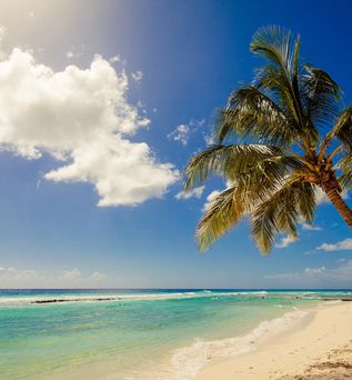 Sugar Bay Barbados