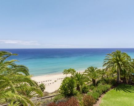 ROBINSON Esquinzo Playa