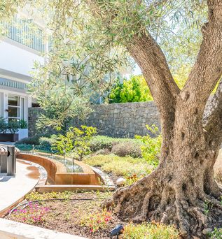 Canyamel Park Hotel & Spa