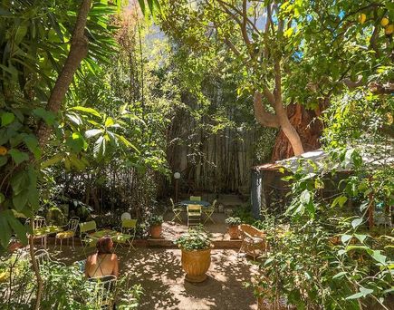 Le Windsor, Jungle Art Hotel