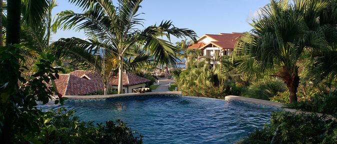 Privater Pool umgeben von Palmen