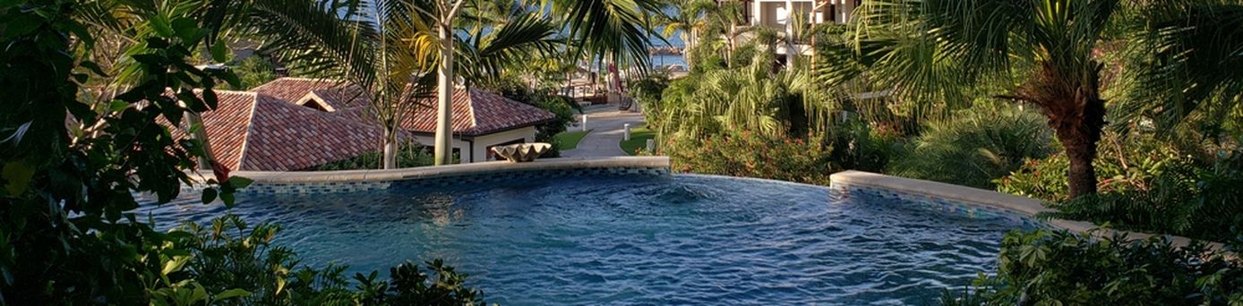 Privater Pool umgeben von Palmen