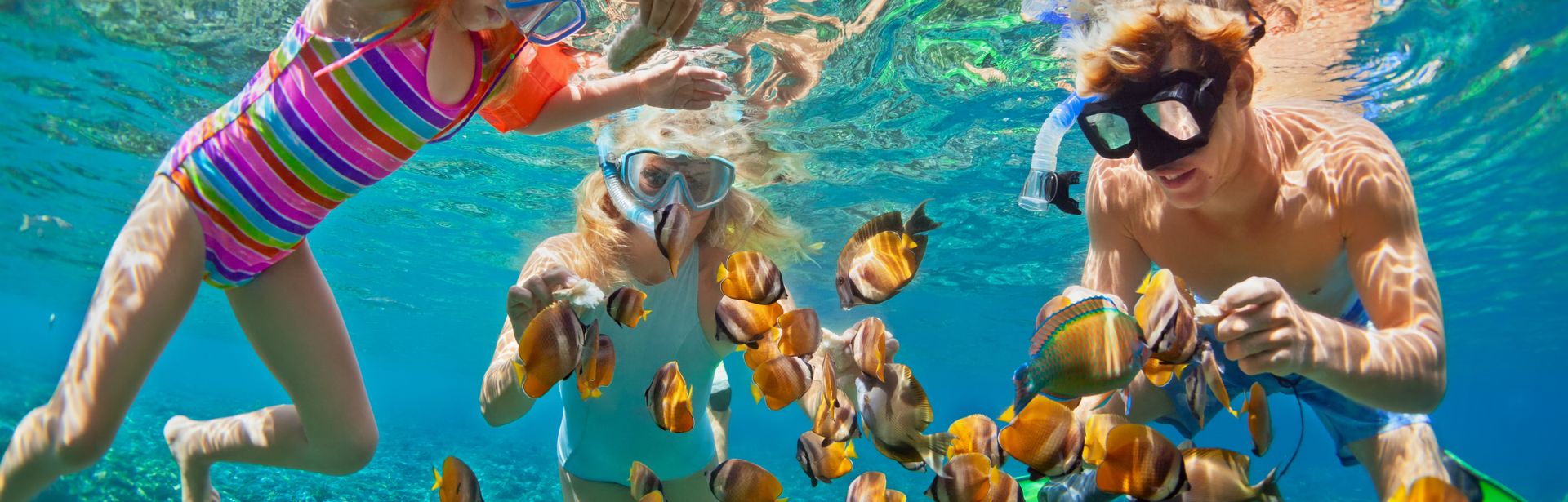 Drei Kinder schauen sich mit Taucherbrillen bunte Fische unter Wasser an