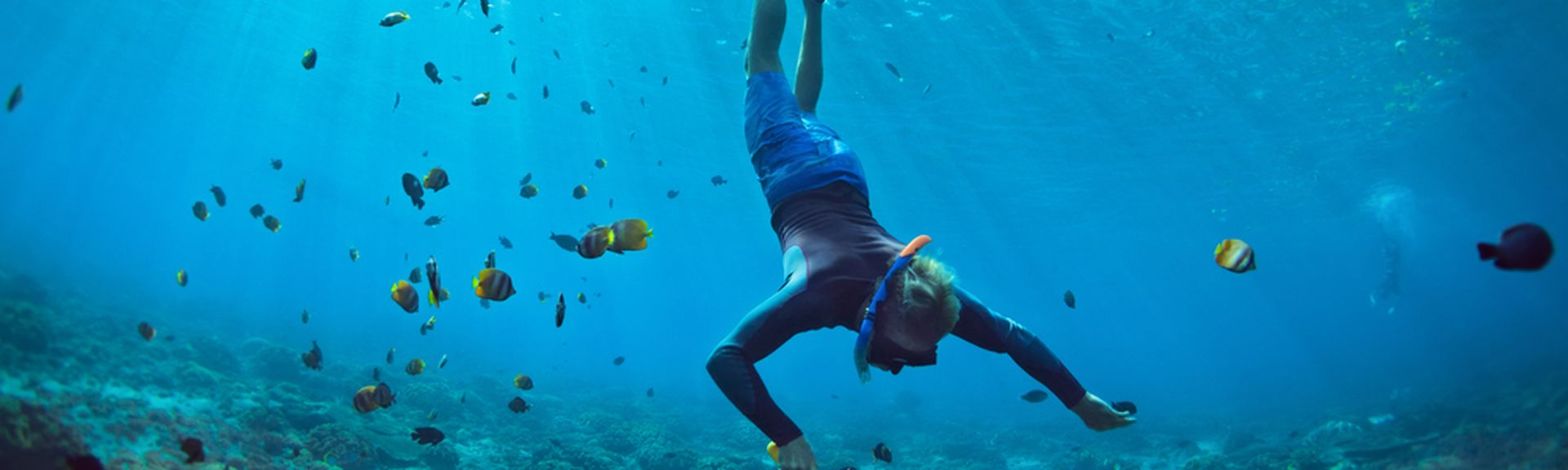 Eine Taucherin auf dem Weg zum Boden, um sie herum schwimmen Fische