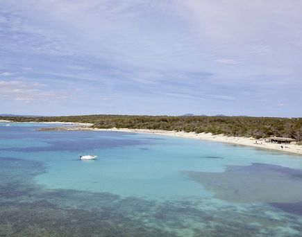 Universal Hotel Marqués