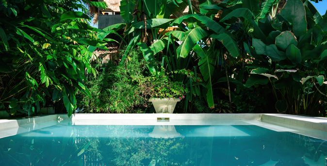 Ein Private Pool umgeben von Pflanzen