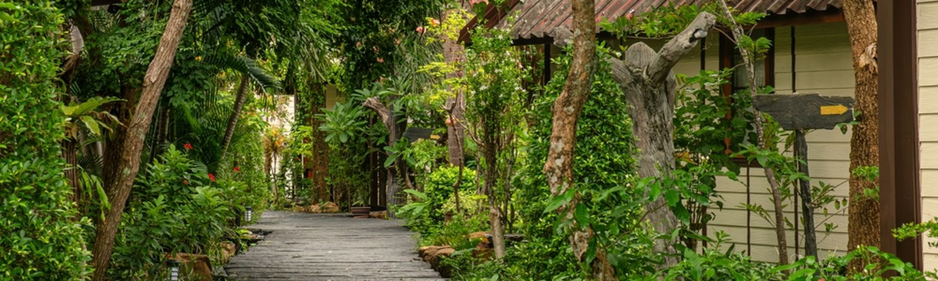 Ein Weg aus Holzplatten umgeben von Bäumen, Rechts sieht man Hauseingänge