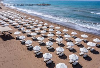 Barut GOIA