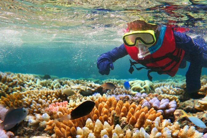 Taucher mit Schnorchel zeigt auf Fische in einem Korallenriff