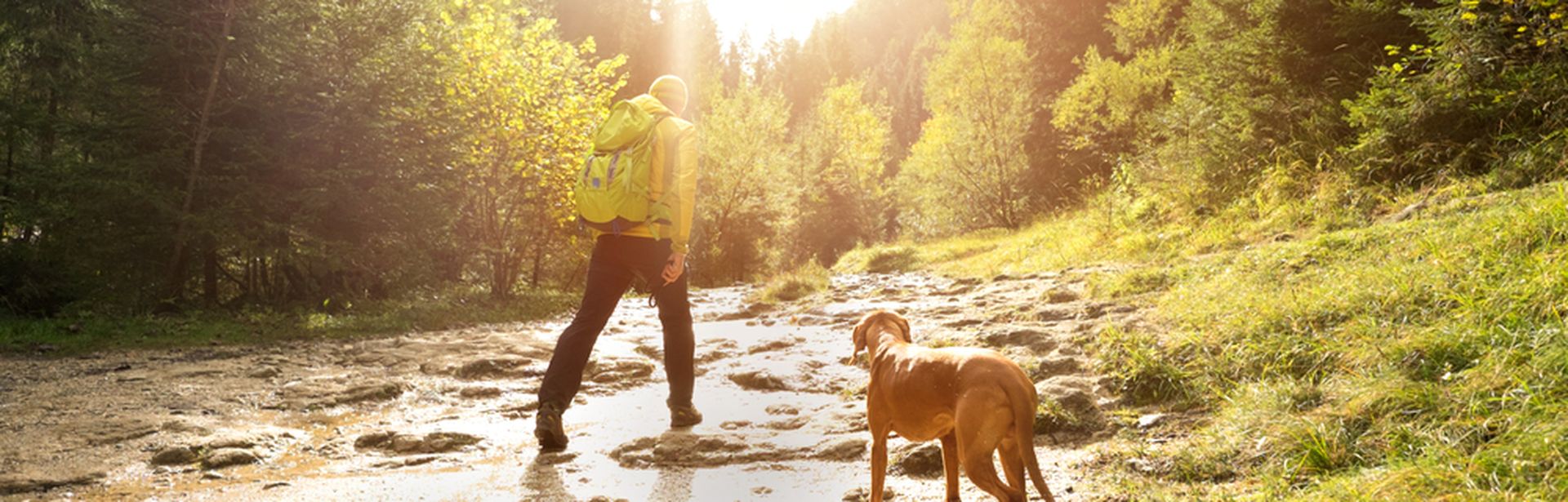 Ein Mann und ein Hund wandern auf einem Hügel der Sonne entgegen