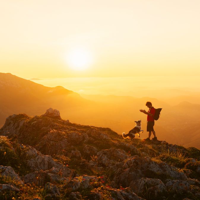 Mann und Hund wandern zusammen in den Bergen bei Sonnenuntergang