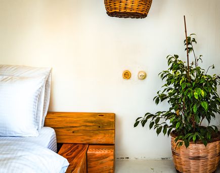 Ausschnitt eines Schlafzimmers mit einem Weiß bezogenem Bett und einer Pflanze