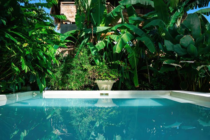 Ein privater Pool umgeben von Pflanzen