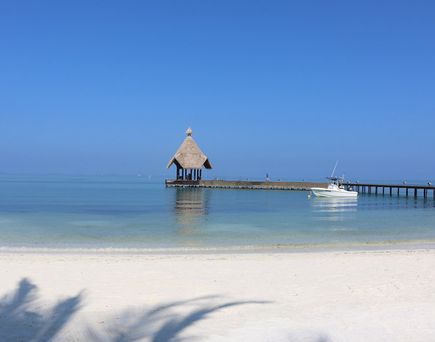 Canareef Resort Maldives