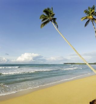 Viva V Samana by Wyndham, A Trademark Adults All Inclusive