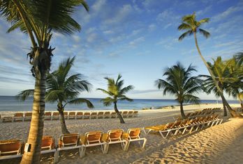 Viva Dominicus Palace by Wyndham, A Trademark All Inclusive