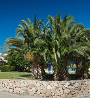 Myo Hotel Stelle Marine