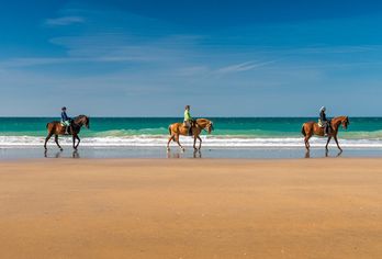 Hotel Fuerte Conil-Resort