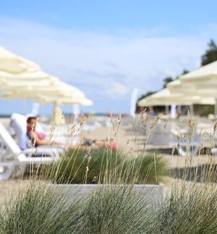 Havet Hotel Resort & Spa