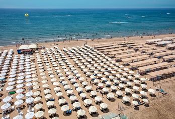 Trendy Verbena Beach