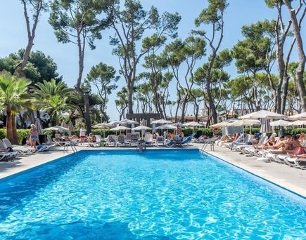 Hotel Riu Festival