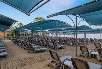 Trendy Palm Beach