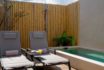 Hive Cancun